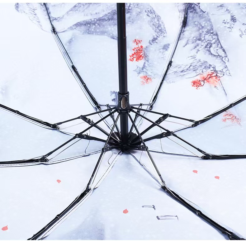 folding umbrella